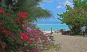 Hotel Secret Cabins At Firefly Beach Cottage Negril Jamaica